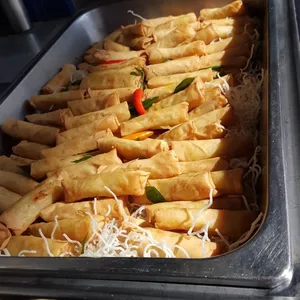 Curry Samosa or Spring Roll 咖喱角或春卷