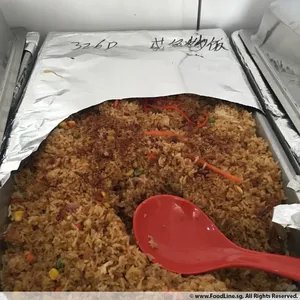 Fried Rice w/ Salted Fish • 咸鱼炒饭