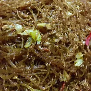 Fried Tang Hoon • 干炒冬粉
