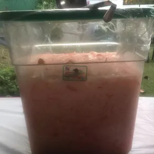 Royal Crystal Jelly