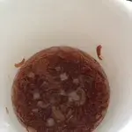 Sea Coconut w/ Sago • 海底椰西米露(Chef's Recommended)