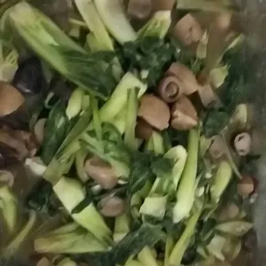 Braised Mushroom With Xiao Bai Cai