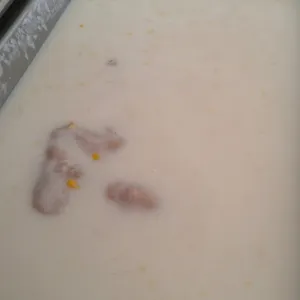 芋泥椰浆 Yam Paste w/ Coconut milk