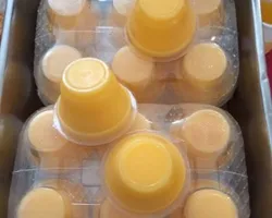 Mango Pudding (芒果布丁) | Customer Photo | House Of Catering F&B Pte Ltd