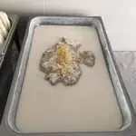 Yam Paste w/ Coconut Milk •芋泥椰浆(Chef's Recommended)