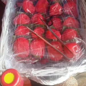 Happiness Ang Ku Kuehs