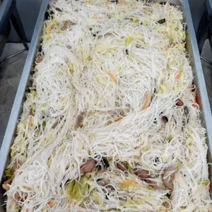 什锦炒米粉 Assorted Fried Bee Hoon