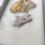 芋泥椰浆 Yam Paste w/ Coconut milk