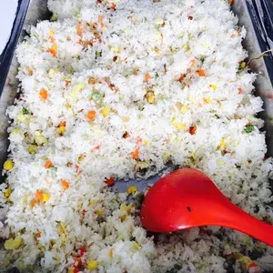 咸鱼炒饭 Fried Rice w/ salted fish