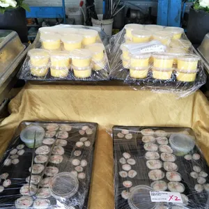 Sushi & Maki Platter