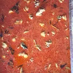 咖哩鸡肉 Curry Chicken