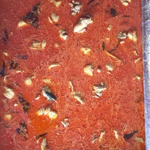 咖哩鸡肉 Curry Chicken