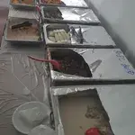 Other Food Items or Photos of Event (Please fill in below)