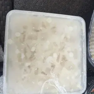 Honey Dew Sago