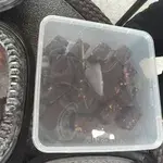 Mini Brownie