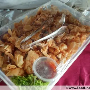Butterfly Wanton