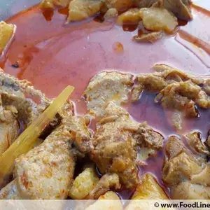 Curry Chicken 咖喱鸡