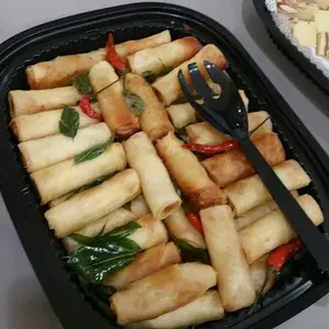 Vegetarian Spring Roll