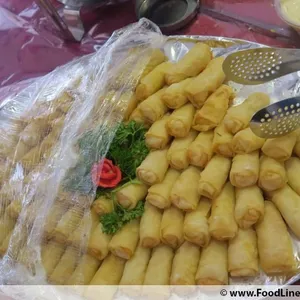 三丝春卷 Vegetable Spring Roll