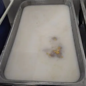 芋泥椰浆 Yam Paste w/ Coconut milk 