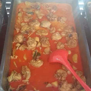咖哩鸡肉 Curry Chicken