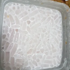 Chilled Honeydew Sago (Seasonal and subject to substitution)