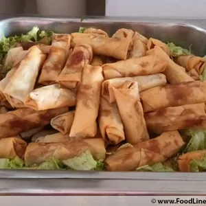 Vegetarian Spring Roll