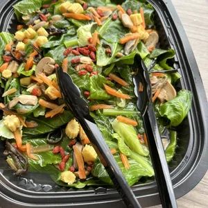 Kai Lan w Pacific Mushroom 鲍贝芥兰