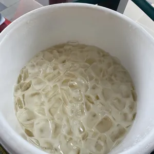 Chin Chow with Longan