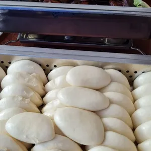 Signature Stewed Pork Belly With Steamed Bun 扣肉包