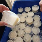 Honeydew Sago                                                                	蜜瓜西米露