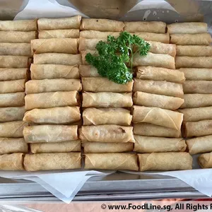 Vegetable Spring Roll 炸春卷