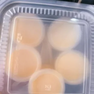 Mango Pudding