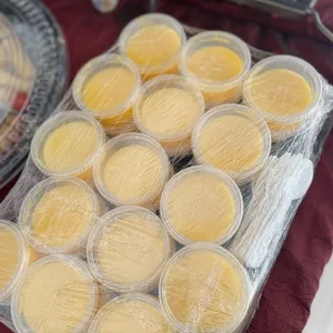 Mango Pudding