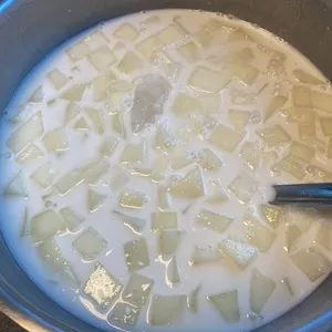 Honeydew Sago