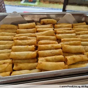 Vegetable Spring Roll 炸春卷