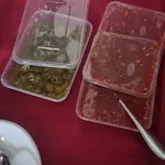 Other Food Items or Photos of Event (Please fill in below)