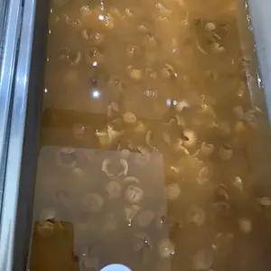 六味清汤 Hot Cheng Tng