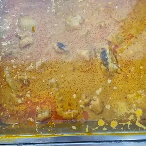 Curry Chicken 咖喱鸡