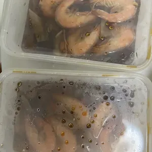 Traditional Tingkat Series - 8 Days TRIAL promo (3 Dishes 1 Soup / 4 Dishes ) *FIRST TIME* only