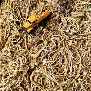 Hong Kong Noodle 香港炒面