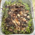Oven Baked Teriyaki Chicken