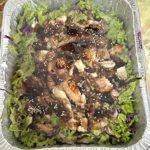 Oven Baked Teriyaki Chicken