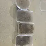 Choose one