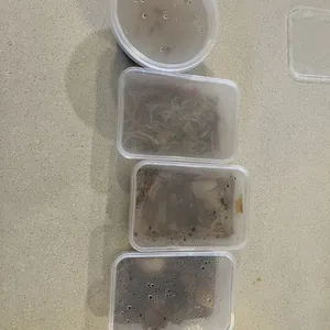 Choose one