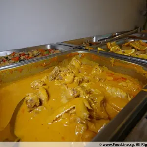 Curry Chicken 咖喱鸡
