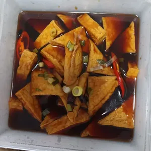Hong Kong Braised Tofu 香港卤水豆腐