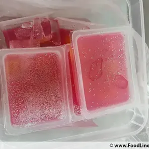 Agar Agar with Fruit Cocktail