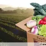 10 days Trial Package