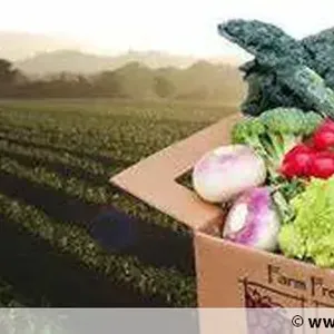 10 days Trial Package
